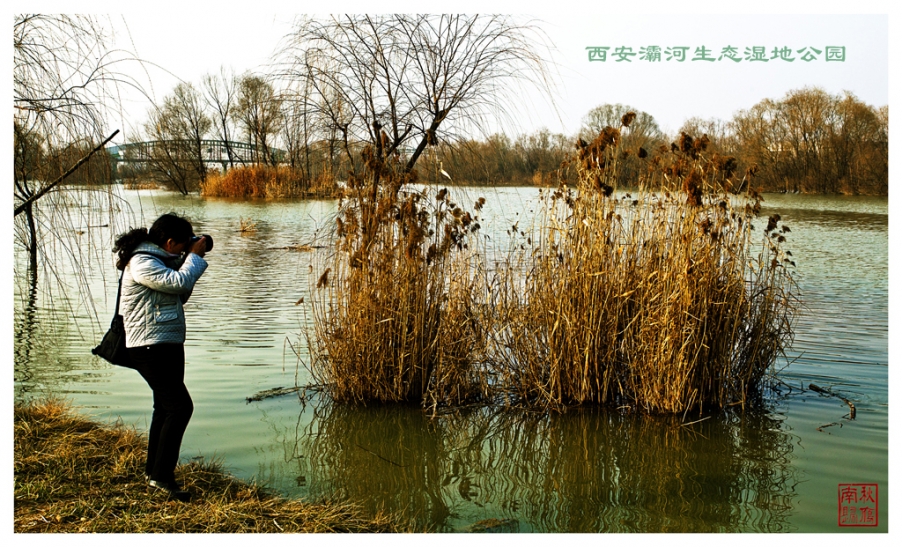 IMG_3662_副本.jpg