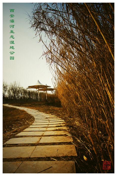 IMG_3644_副本.jpg