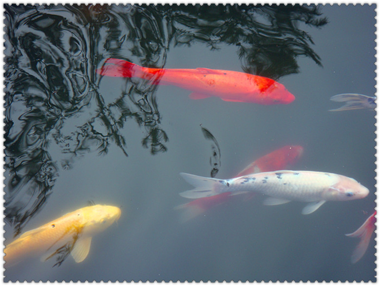 DSC03274_副本.jpg