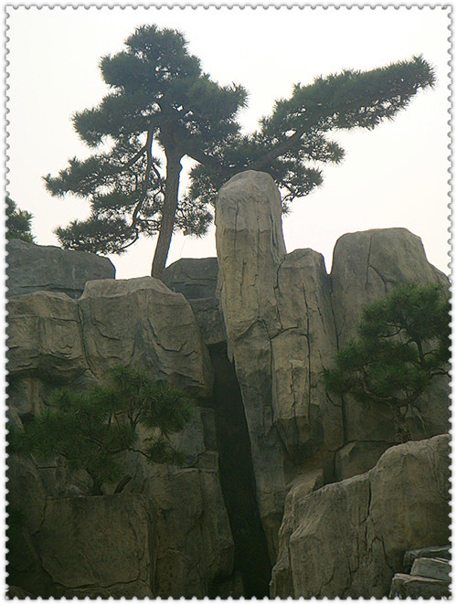 DSC03286_副本_副本.jpg