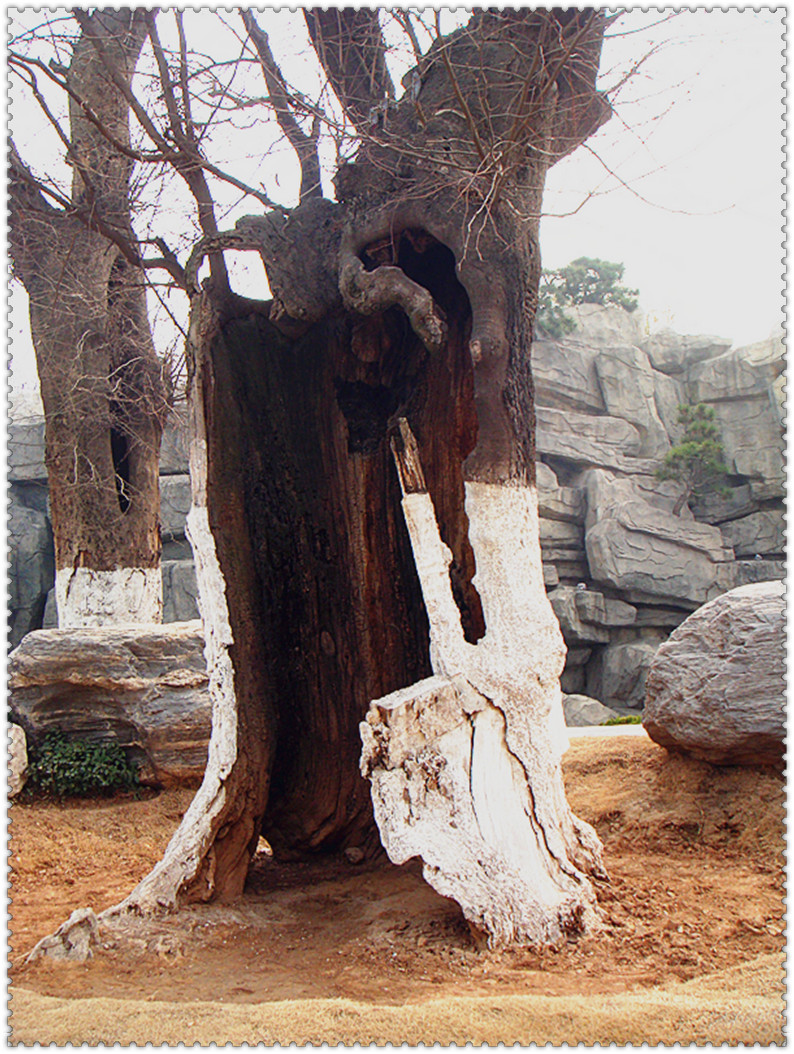DSC03293_副本.jpg