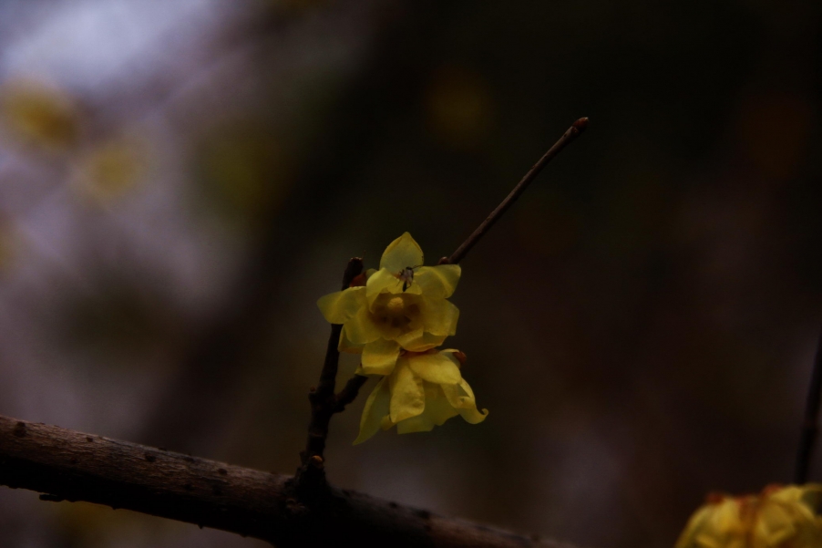 _MG_6839A_调整大小.jpg
