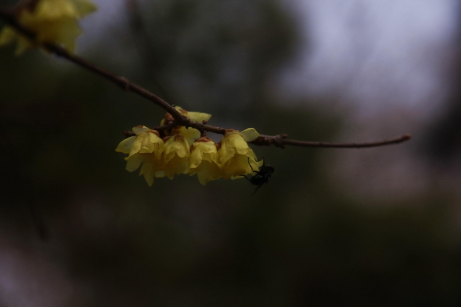 _MG_6841A_调整大小.jpg