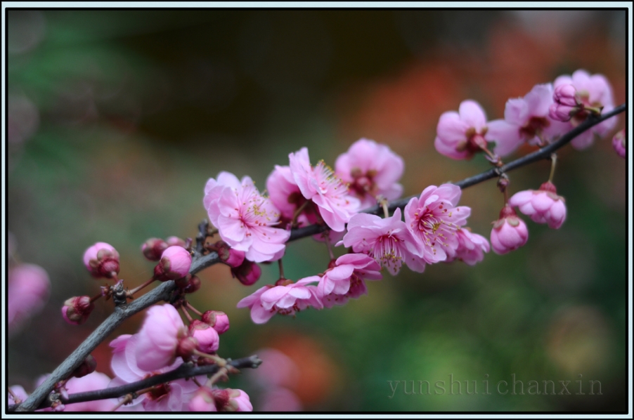 DSC_0094.JPG
