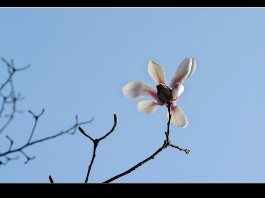 IMGP0782.jpg
