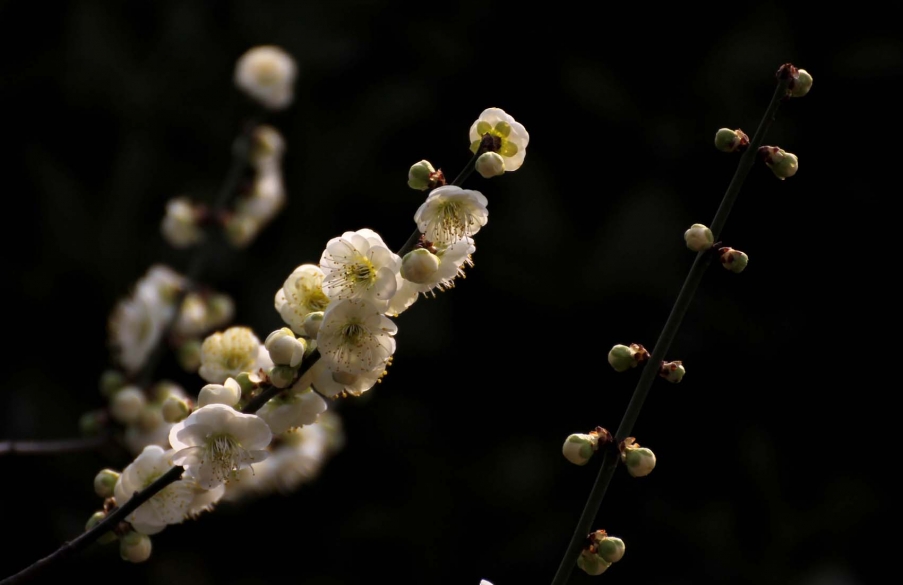 IMG_6186 副本.jpg