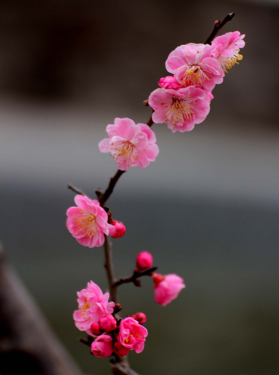 IMG_5902 副本.jpg