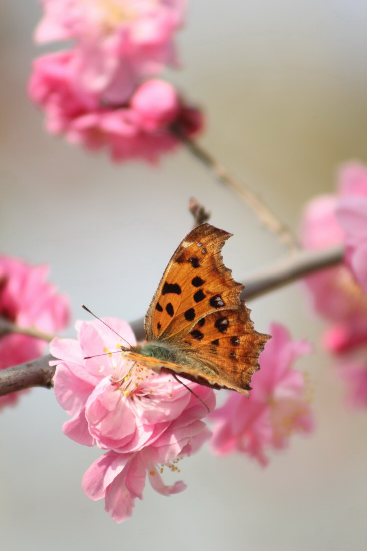 IMG_6346_调整大小.jpg