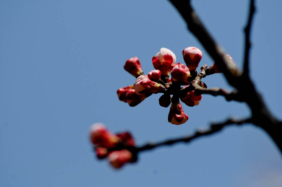照片 295.jpg