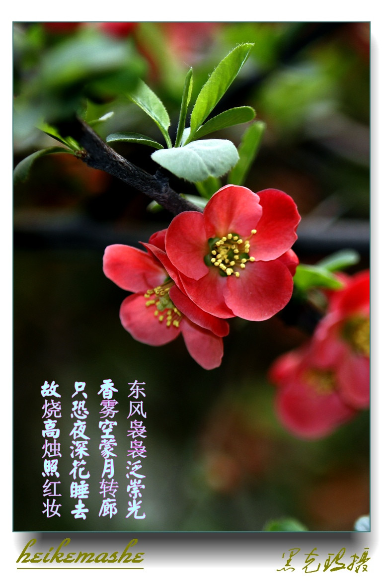 _MG_2617_副本.jpg