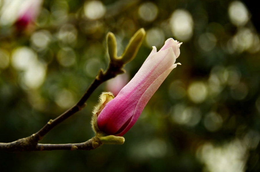 DSC_3399.JPG