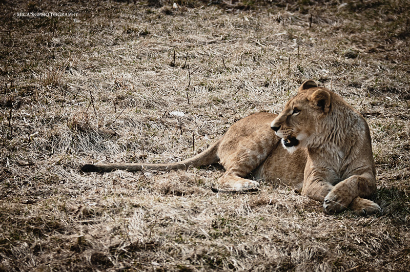 DSC_0147-37_副本.jpg