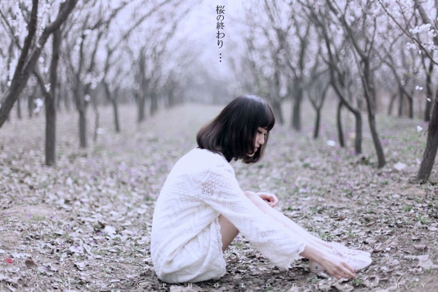IMG_3915小图 副本.jpg