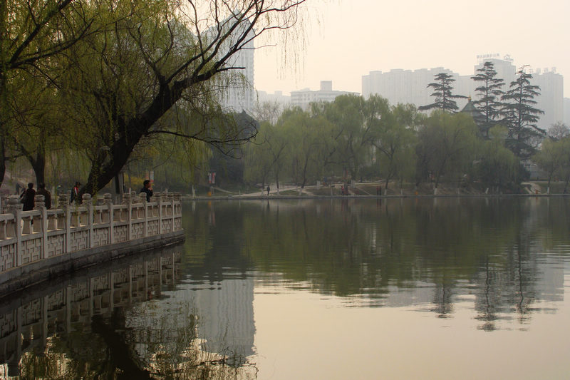 DSC08912.JPG