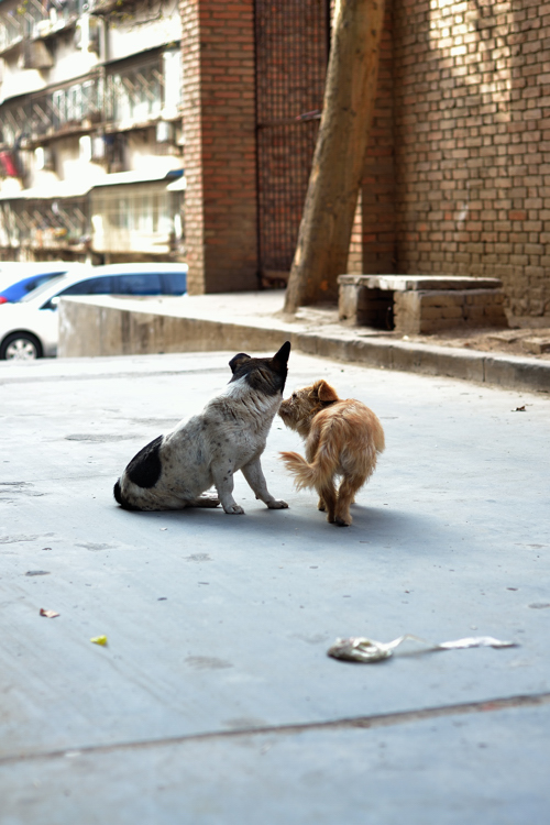 DSC_1829就.jpg