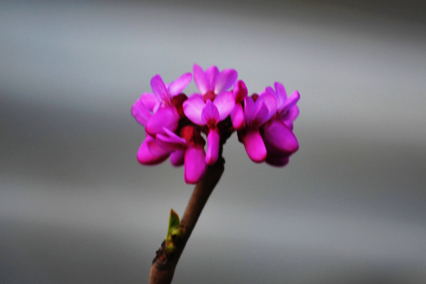 DSC_0186.jpg
