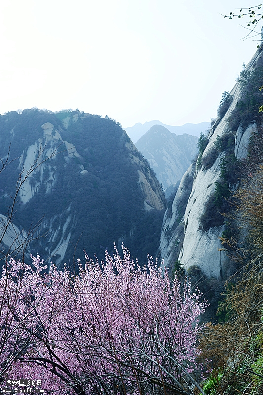 DSC_0824_副本.jpg