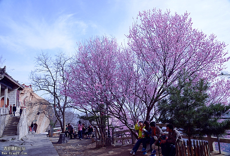DSC_0815_副本.jpg