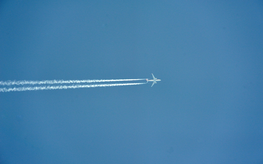 DSC_2918_副本.jpg