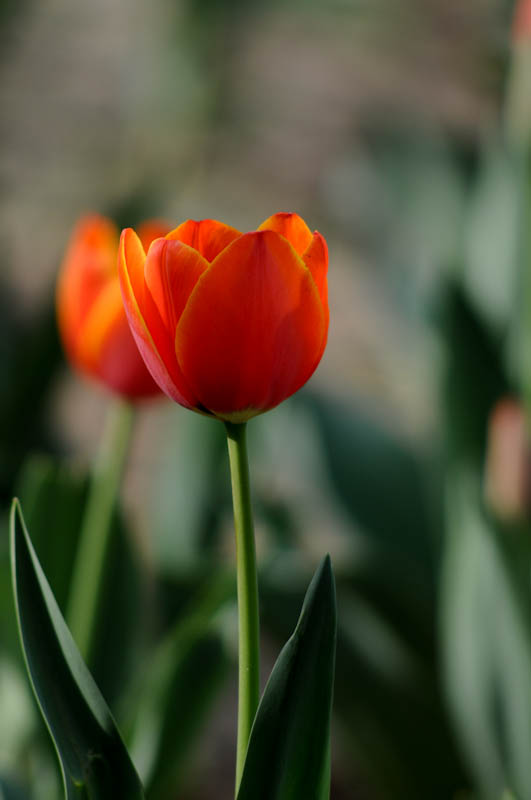 DSC_1062.jpg