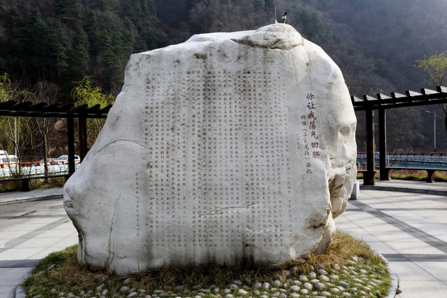 汉中油菜花002.jpg
