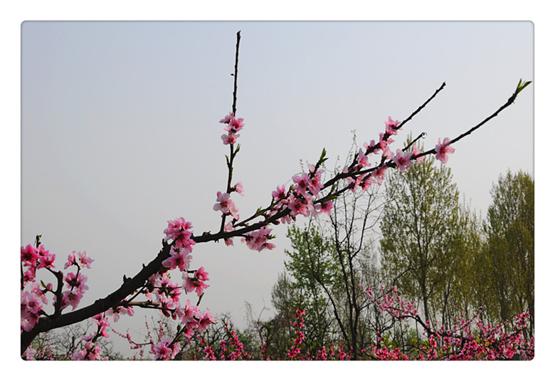 DSC_0025_副本.jpg