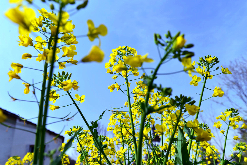 D600最近3月份拍摄 094.JPG