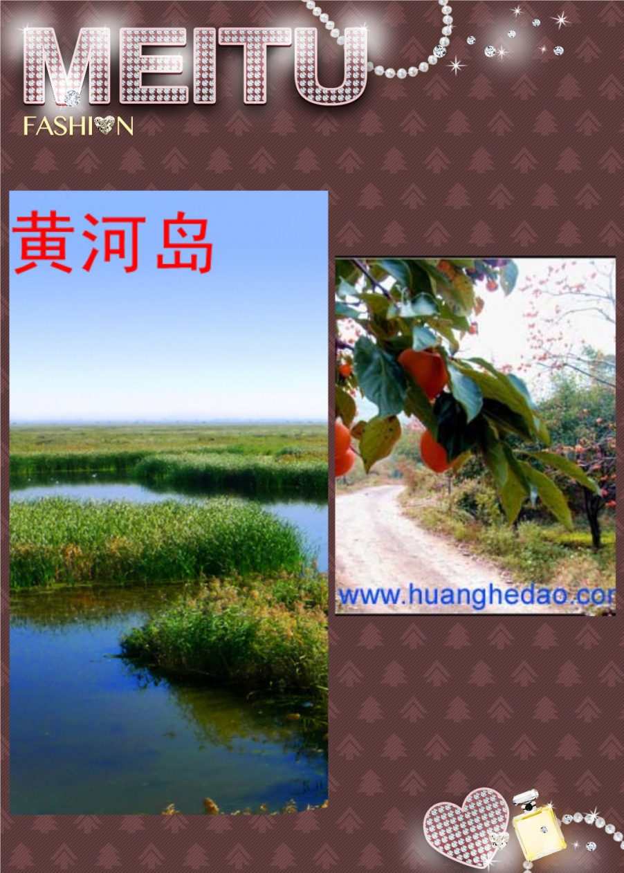 照片 230_副本_副本.jpg