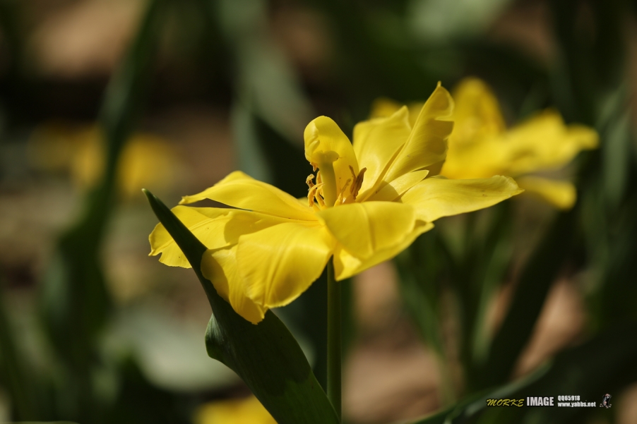 1G8A4793a.jpg