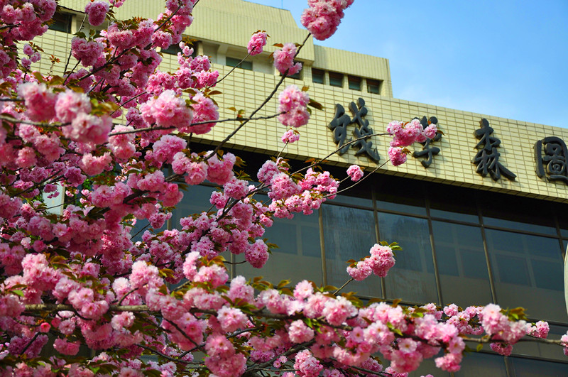 DSC_0105_副本.jpg