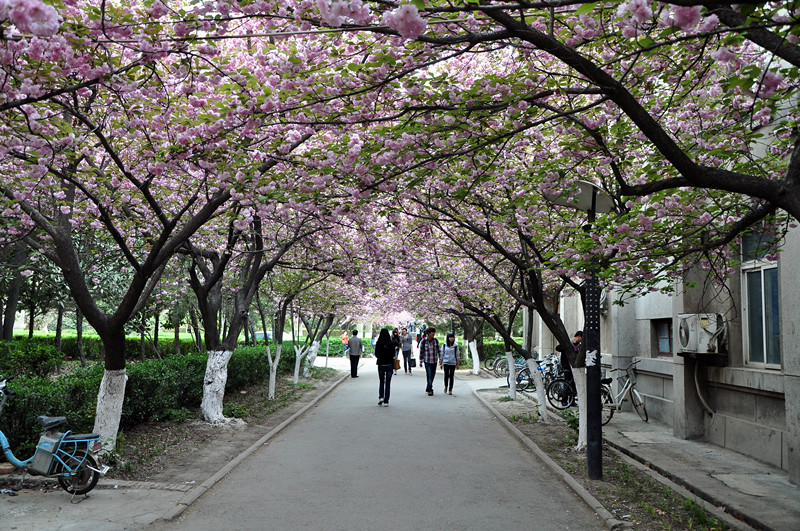 DSC_0272_副本.jpg