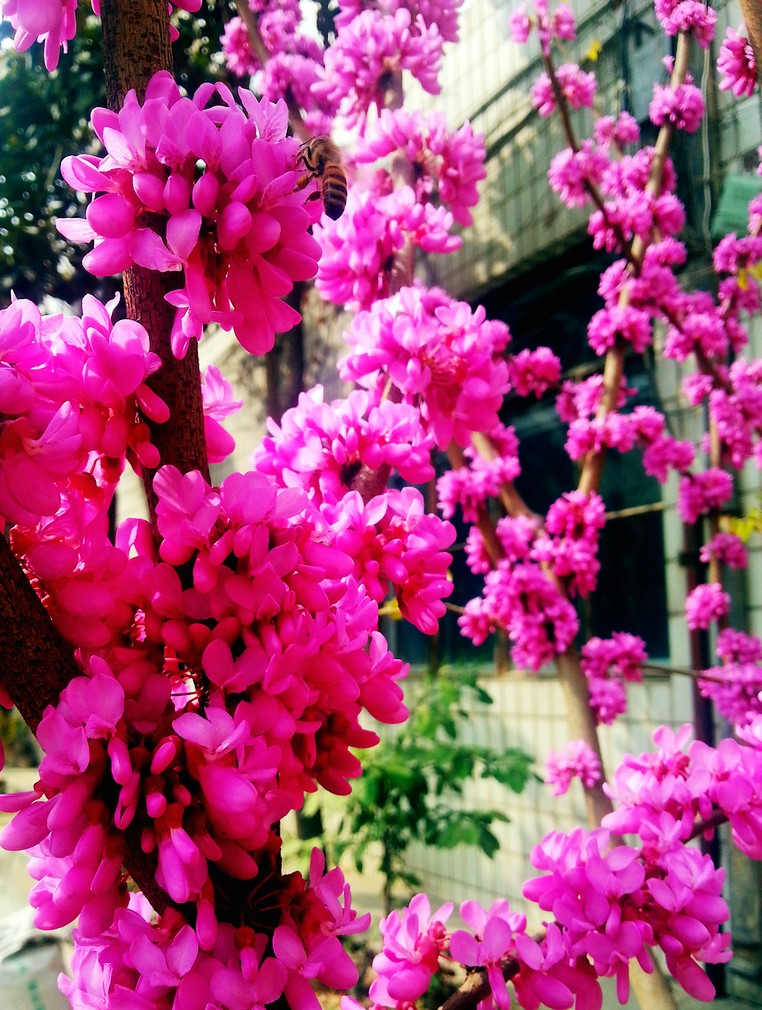 20130322_144641.jpg