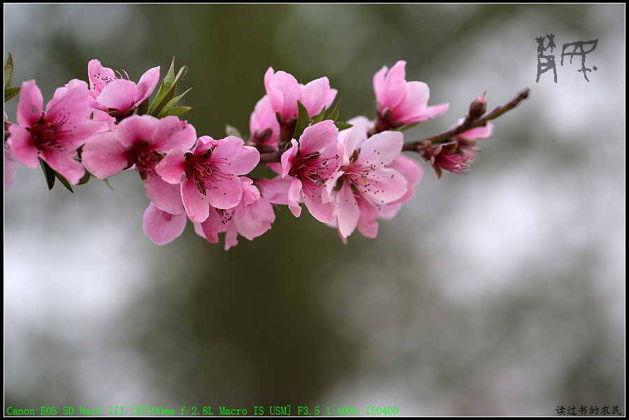 5D3A1268.jpg