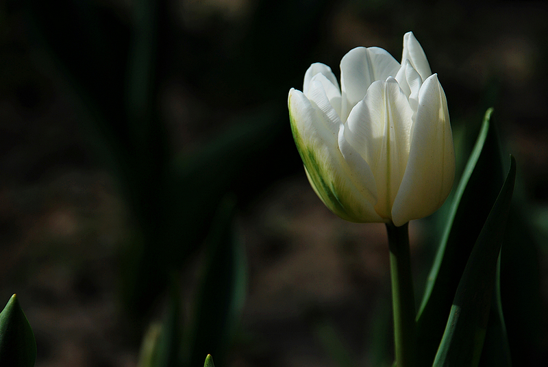 DSC_0638.JPG