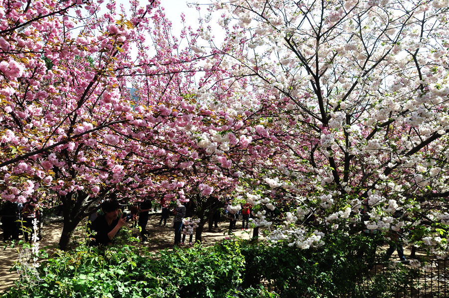 DSC_0372.JPG