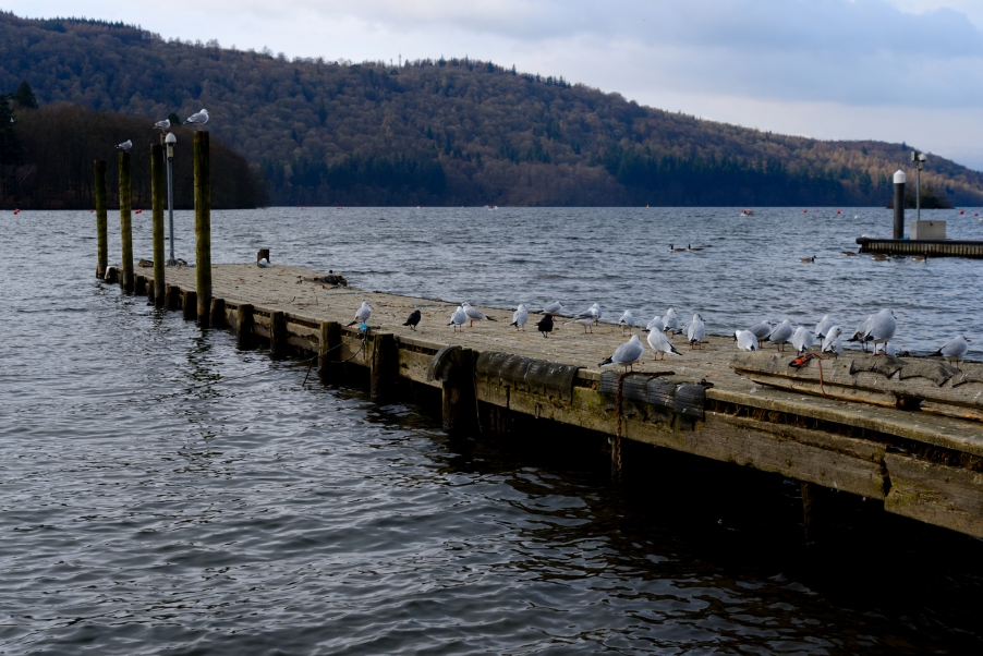 DSC_2510.jpg