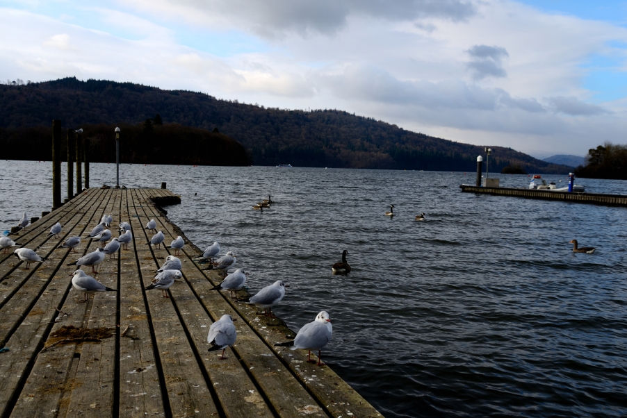 DSC_2522.jpg