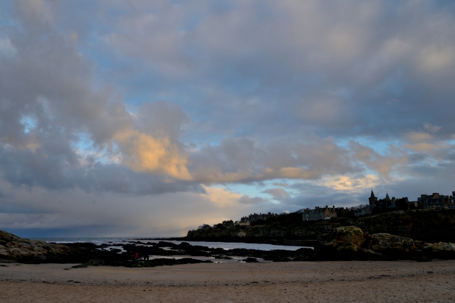 DSC_2927.jpg