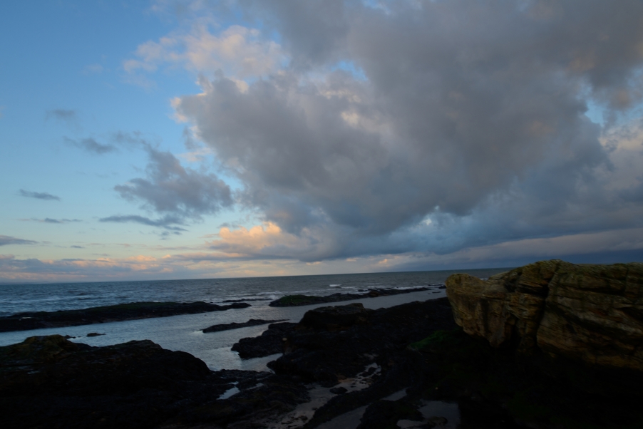 DSC_2934.jpg