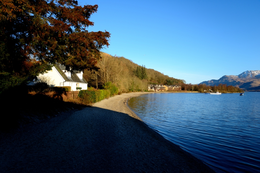 DSC_2990.jpg