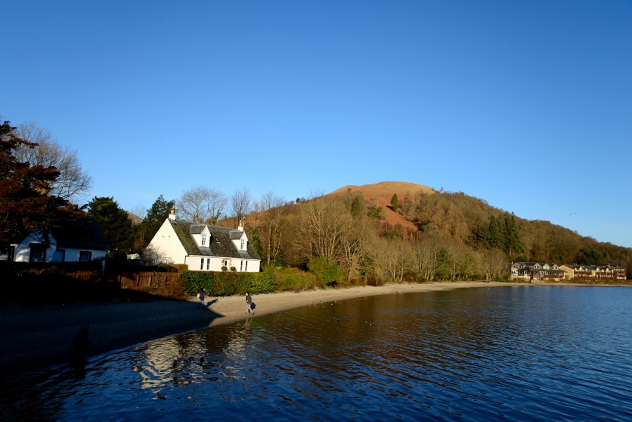 DSC_2997.jpg
