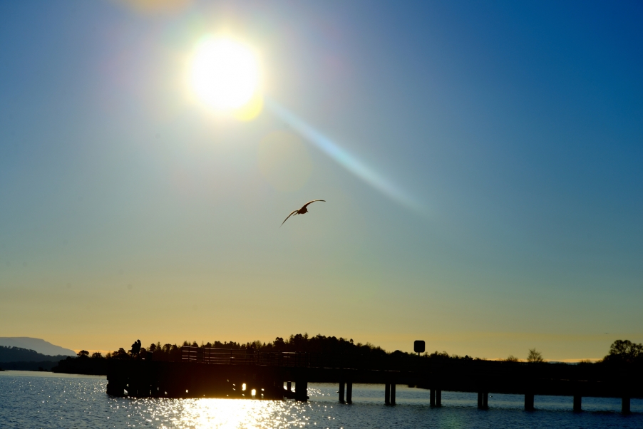 DSC_3052.jpg