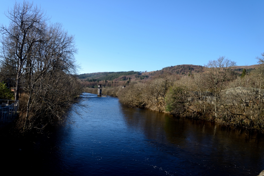 DSC_3206.jpg