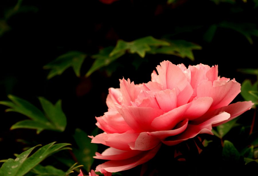 学0041.JPG