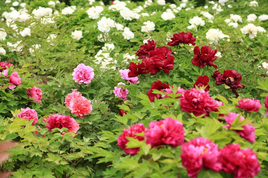 学0082.JPG