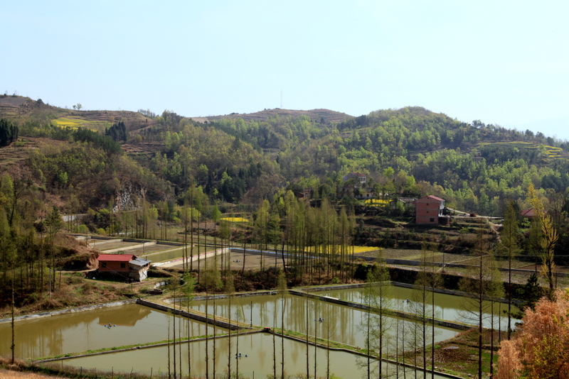 IMG_4834.JPG