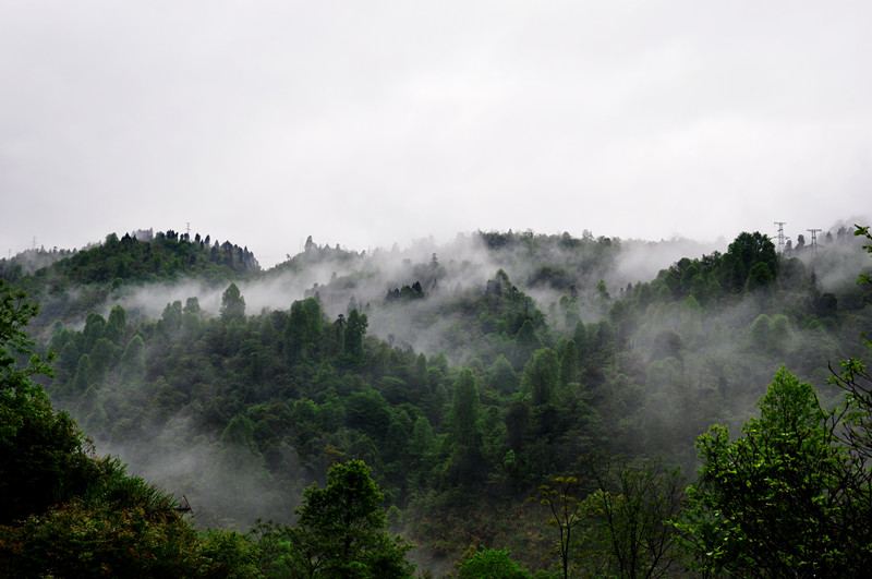 DSC_4123副本_副本.jpg