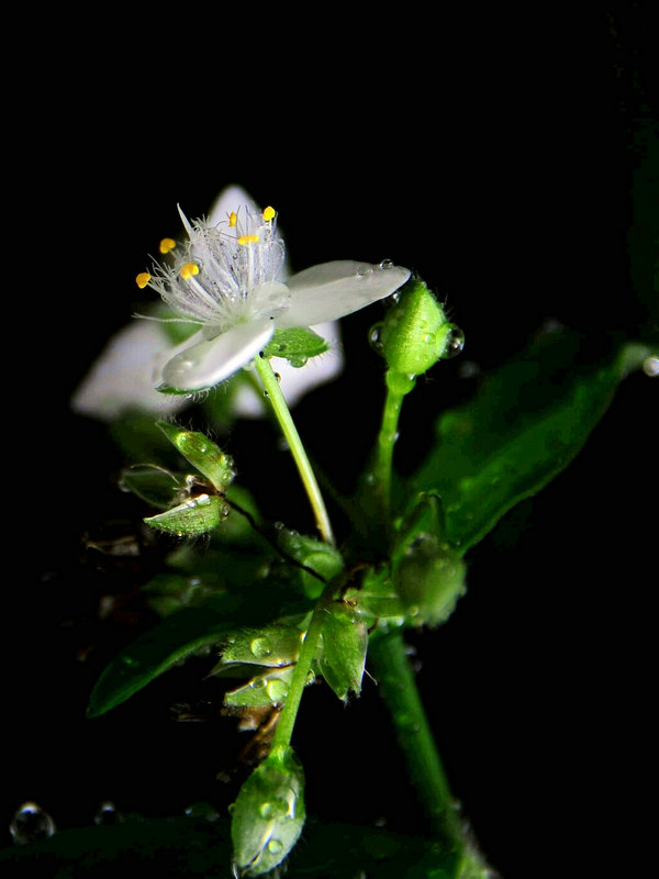 DSC_6288_副本.jpg
