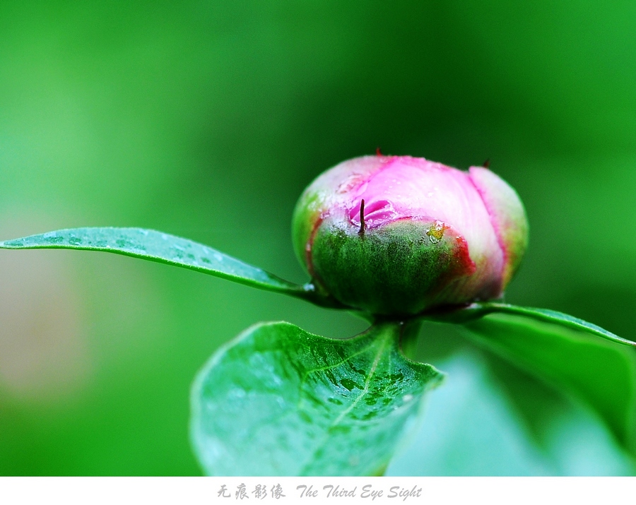 DSC_0589.jpg