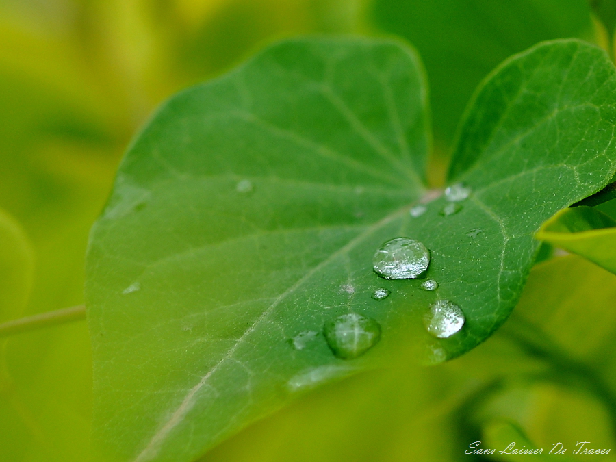 DSC_1101_副本.jpg